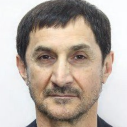 Виса Мизаев